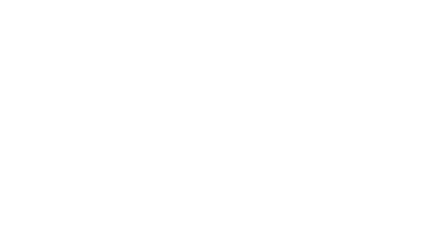 LoopSystems Logo